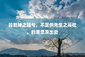 拉乾坤之隘兮，不足供先生之高枕。的意思及出处