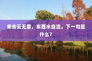 来去云无意，东西水自流。下一句是什么？