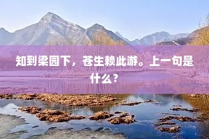 知到梁园下，苍生赖此游。上一句是什么？