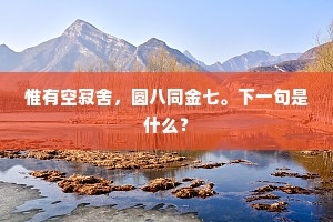 惟有空寂舍，圆八同金七。下一句是什么？