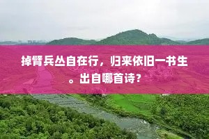 掉臂兵丛自在行，归来依旧一书生。出自哪首诗？