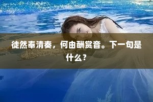 徒然奉清奏，何由酬赏音。下一句是什么？