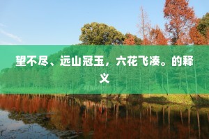 望不尽、远山冠玉，六花飞凑。的释义
