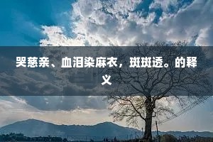 哭慈亲、血泪染麻衣，斑斑透。的释义