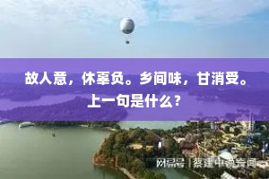 故人意，休辜负。乡间味，甘消受。上一句是什么？