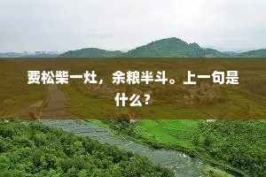 费松柴一灶，余粮半斗。上一句是什么？