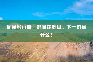 同是缑山裔，况同花甲周。下一句是什么？