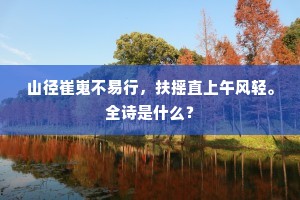 山径崔嵬不易行，扶摇直上午风轻。全诗是什么？