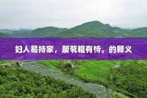 妇人曷持家，嫠茕粗有恃。的释义