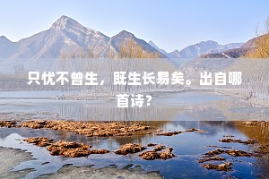 只忧不曾生，既生长易矣。出自哪首诗？