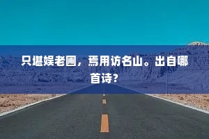 只堪娱老圃，焉用访名山。出自哪首诗？