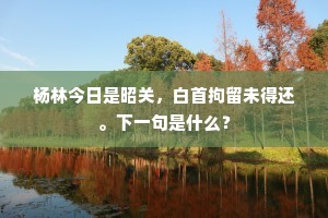 杨林今日是昭关，白首拘留未得还。下一句是什么？