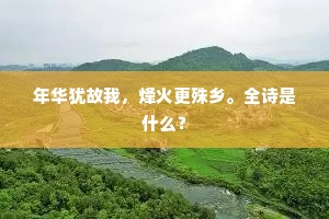 年华犹故我，烽火更殊乡。全诗是什么？