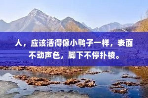 人，应该活得像小鸭子一样，表面不动声色，脚下不停扑棱。