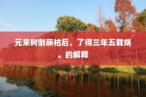 元来树倒藤枯后，了得三年五载烧。的解释