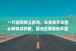 一只站在树上的鸟，从来就不会担心树枝会折断，因为它相信的不是树枝，而是自己的翅膀。