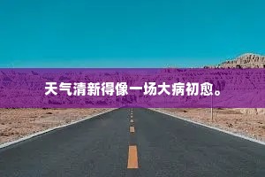 天气清新得像一场大病初愈。