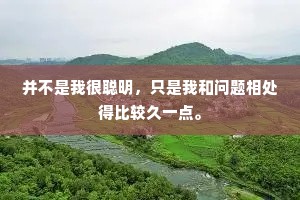 并不是我很聪明，只是我和问题相处得比较久一点。