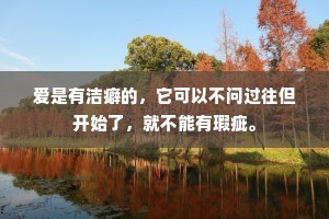 爱是有洁癖的，它可以不问过往但开始了，就不能有瑕疵。