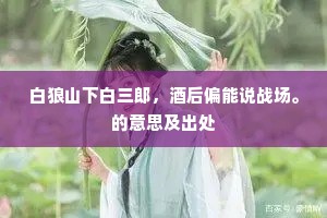 白狼山下白三郎，酒后偏能说战场。的意思及出处