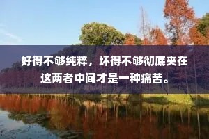 好得不够纯粹，坏得不够彻底夹在这两者中间才是一种痛苦。