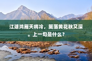 江湖鸿雁天将冷，篱落黄花秋又深。上一句是什么？