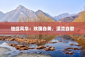 独绽风华：玫瑰自美，溪流自歌