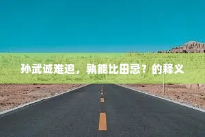 孙武诚难追，孰能比田忌？的释义