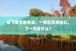 花飞便觉春容减，一阵狂风满地红。下一句是什么？