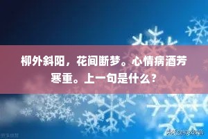 柳外斜阳，花间断梦。心情病酒芳寒重。上一句是什么？