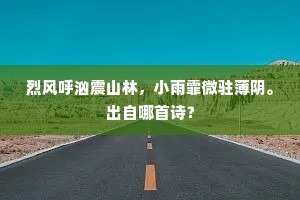 烈风呼汹震山林，小雨霏微驻薄阴。出自哪首诗？