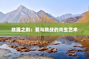 玫瑰之刺：爱与挑战的共生艺术