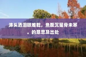 涛头洒泪眼难乾，鱼腹沉冤骨未寒。的意思及出处