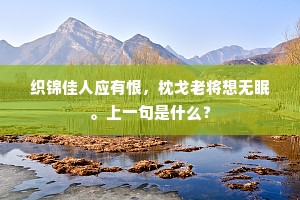 织锦佳人应有恨，枕戈老将想无眠。上一句是什么？