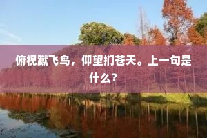 俯视蹴飞鸟，仰望扪苍天。上一句是什么？