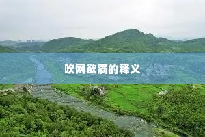 吹网欲满的释义