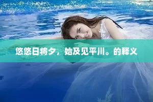 悠悠日将夕，始及见平川。的释义