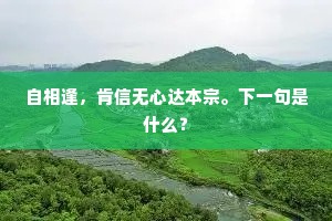 自相逢，肯信无心达本宗。下一句是什么？