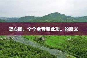 契心同，个个全音赞此功。的释义