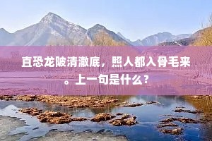 直恐龙陂清澈底，照人都入骨毛来。上一句是什么？