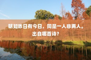 明知昨日有今日，同是一人非两人。出自哪首诗？