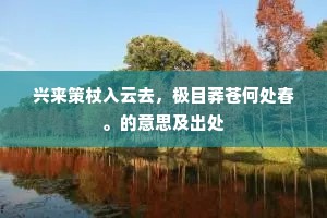 兴来策杖入云去，极目莽苍何处春。的意思及出处