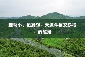 螺髻小，凤鞋轻。天边斗柄又斜横。的解释