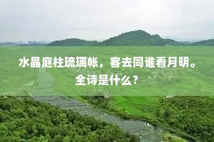 水晶庭柱琉璃帐，客去同谁看月明。全诗是什么？