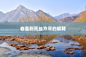 春蚕到死丝方尽的解释