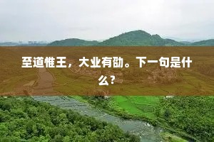 至道惟王，大业有劭。下一句是什么？