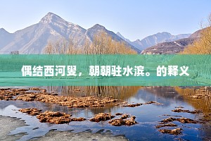 偶结西河叟，朝朝驻水滨。的释义