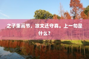 之子秉高节，攻文还守真。上一句是什么？