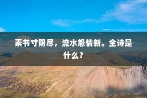 素书寸阴尽，流水怨情新。全诗是什么？