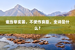 谁当举玄晏，不使作良臣。全诗是什么？